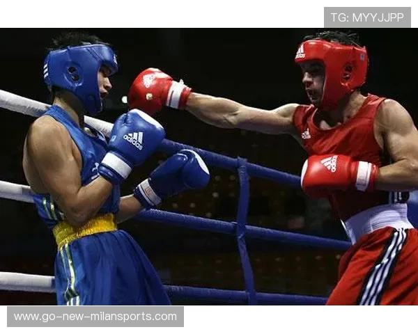 拳击盛事：世界级冠军激烈争夺，擂台火爆！，世界拳击经典赛